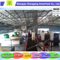 Solid Waste/Waste Food/Waste Trash to Energy/Electricity Plant with Ce, SGS, ISO